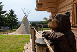 Volání divočiny po šumavsku