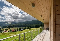 Dlouhá cesta se šťastným koncem