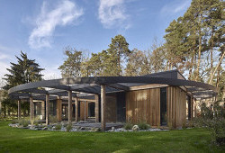 Disk, který přistál uprostřed slavného lesa