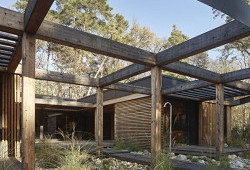 Disk, který přistál uprostřed slavného lesa