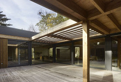 Disk, který přistál uprostřed slavného lesa