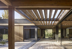 Disk, který přistál uprostřed slavného lesa