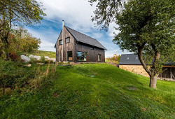 Sirius Black z Kotopek