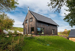 Sirius Black z Kotopek