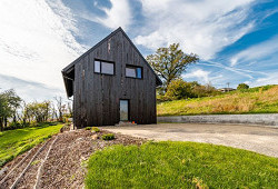 Sirius Black z Kotopek