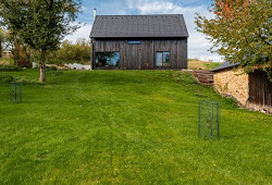 Sirius Black z Kotopek