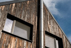 Sirius Black z Kotopek