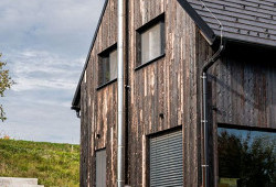 Sirius Black z Kotopek