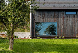 Sirius Black z Kotopek