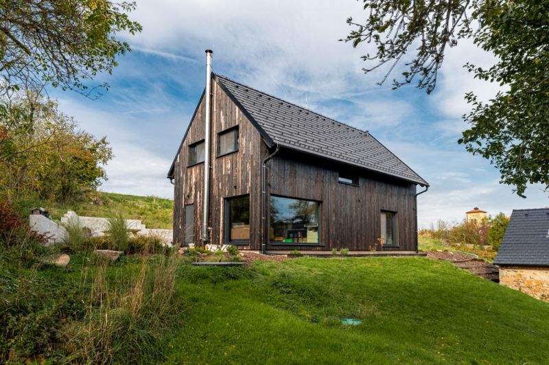 Sirius Black z Kotopek