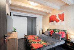 Dům, který prošel dveřmi